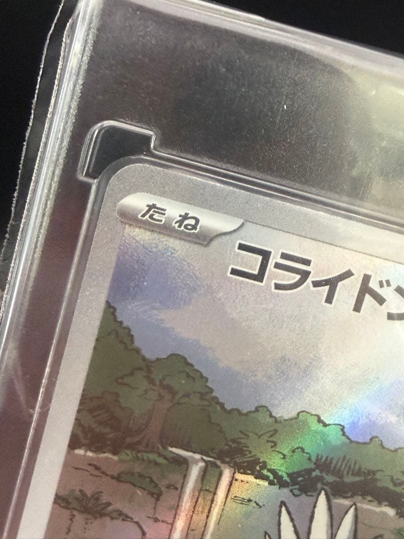 ミライドン ar コライドン ar シールド戦プロモ - メルカリ