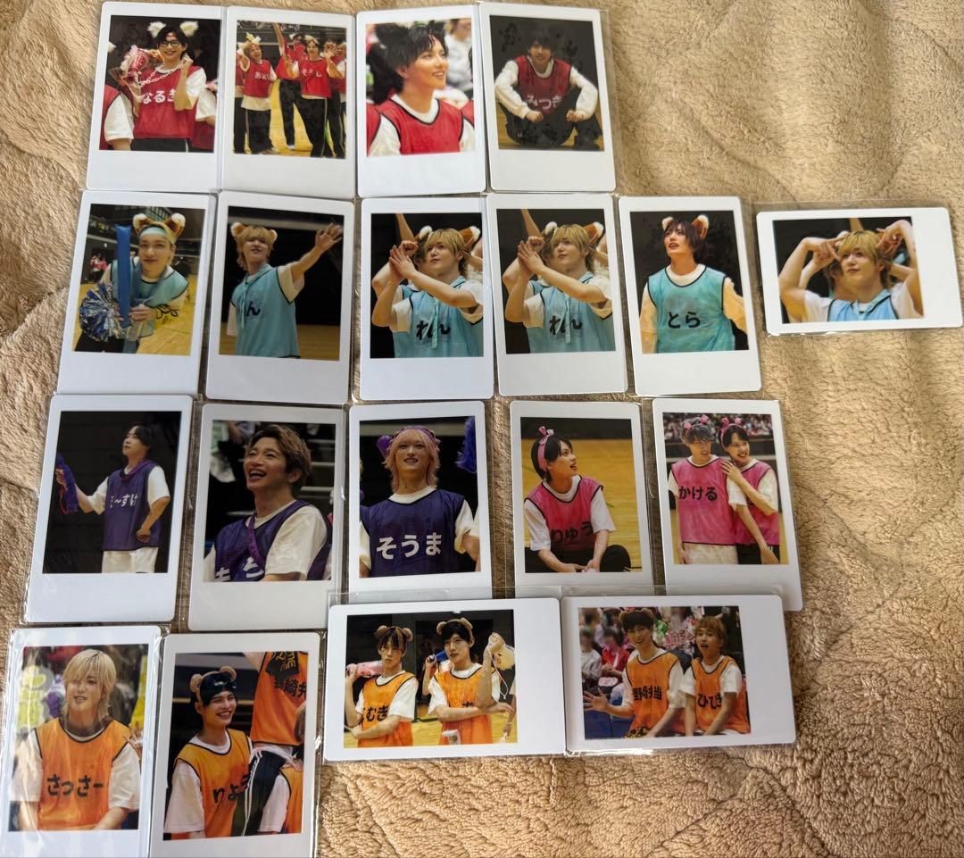 パンダドラゴン ハピカ たいが なぎ なるき ぱっち ようた