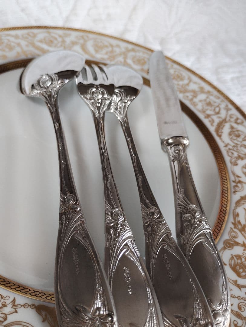 チャウーノパリシリーズ　カトラリー4本×2セット　フェルニオングラス