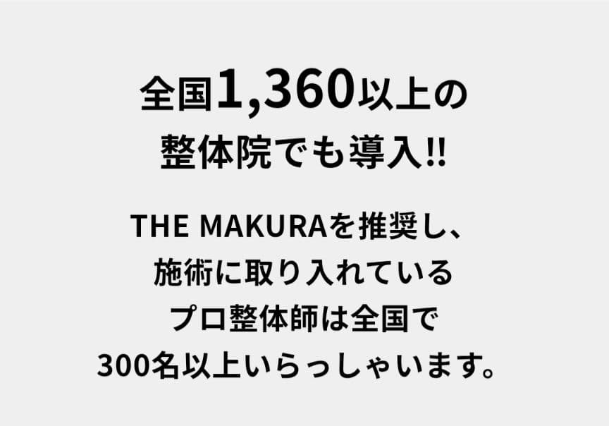 CURE:RE キュアレ THE MAKURA 整体枕 専用カバー付