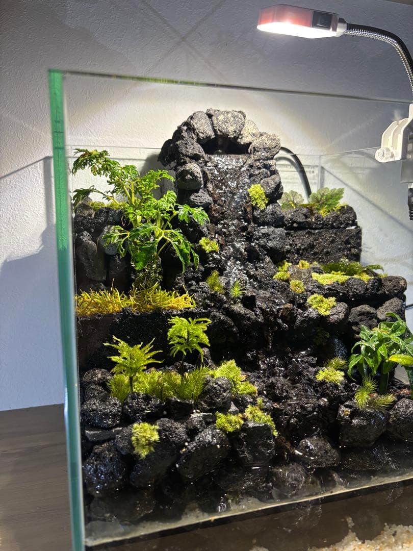 受注作品　アクアテラリウム　滝　池　苔テラリウム　30cm水槽