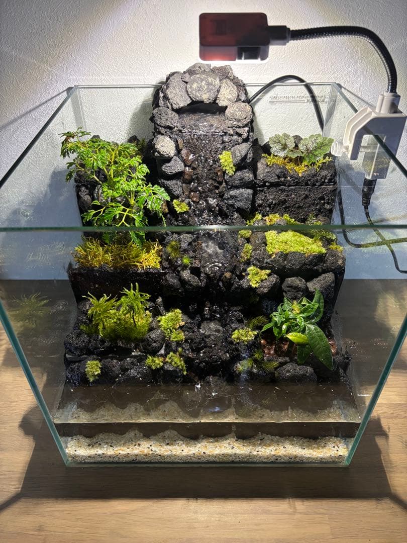 受注作品　アクアテラリウム　滝　池　苔テラリウム　30cm水槽