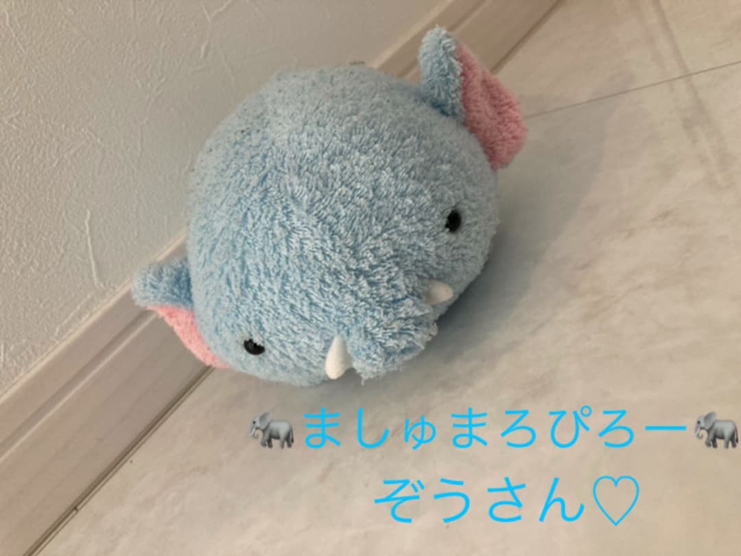 お値下げしました！！）フリッカ ましゅまろぴろー ぞう - メルカリ