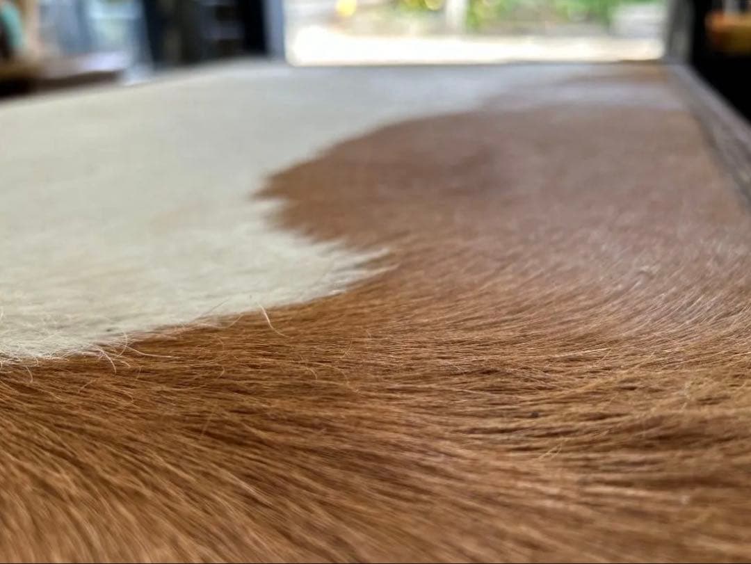 ASPLUND｜HALO / ハロ｜ワトソン ミディアム トランクテーブルセット