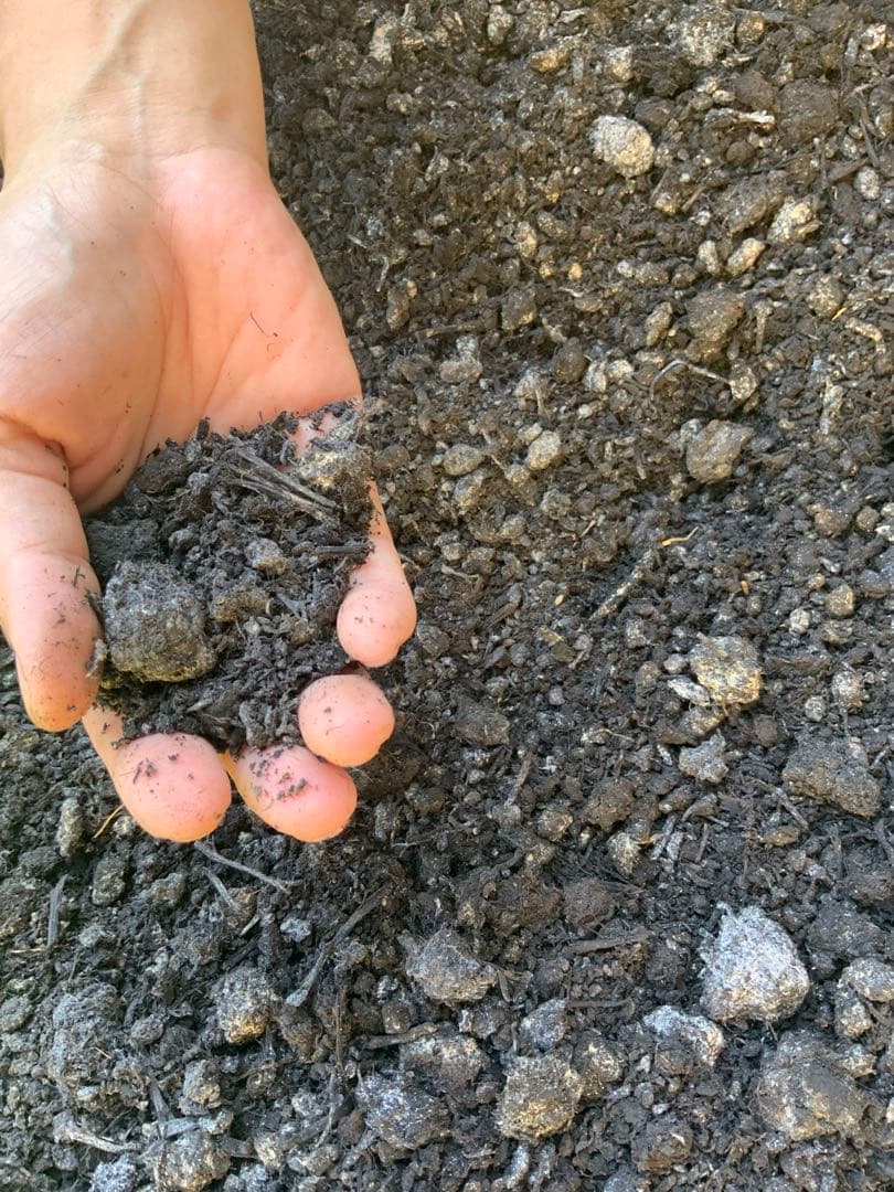 藍染め鯉のぼり　<中単体> 名入れあり　手染め　淡色