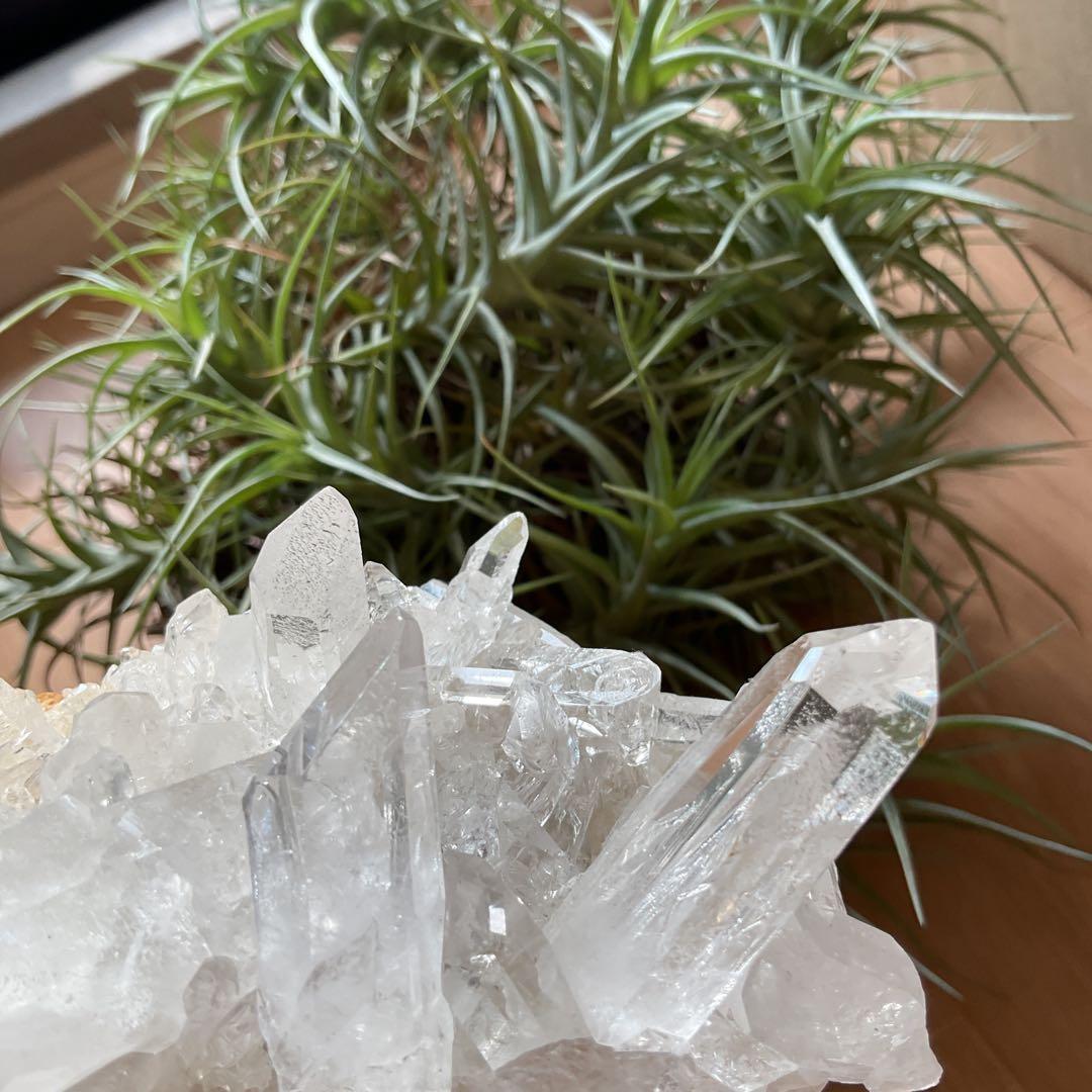 ミナスジェライス州 トマスゴンサガ産 水晶クラスター エクセレントクラス