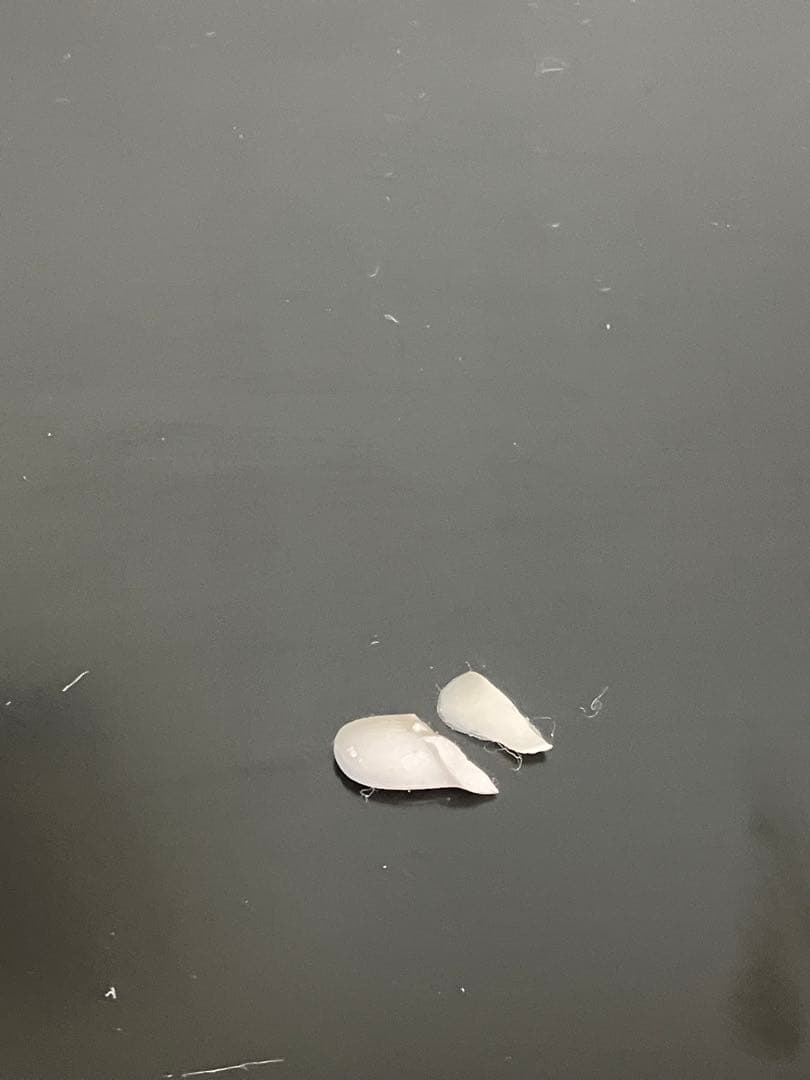 【リアドロ】愛らしい花摘みのお人形