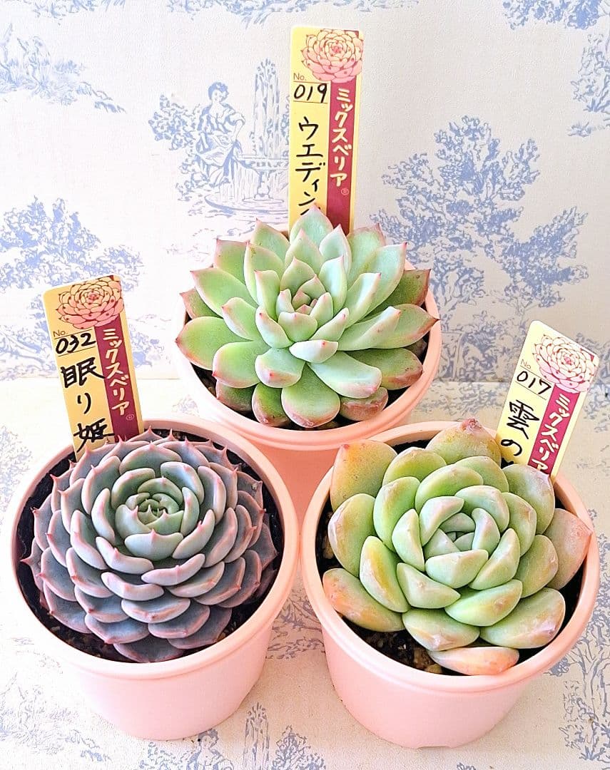 ꕤclara*様 リクエスト 9点 まとめ商品