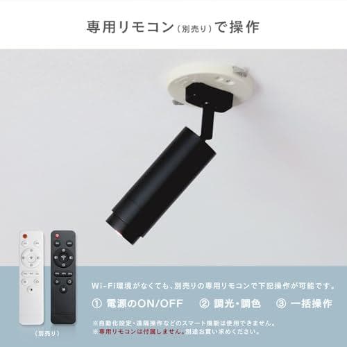 エジソンスマート Alexa対応のミニスポットライト (ダクトレール用/ブラッA