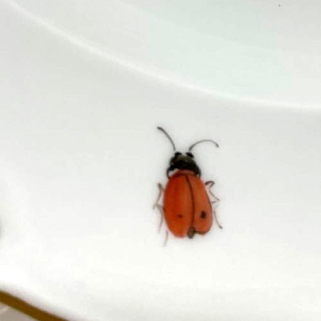 ＊写実画・川魚と水草＊２５ｃｍ・1821年-1924年・Meissen・