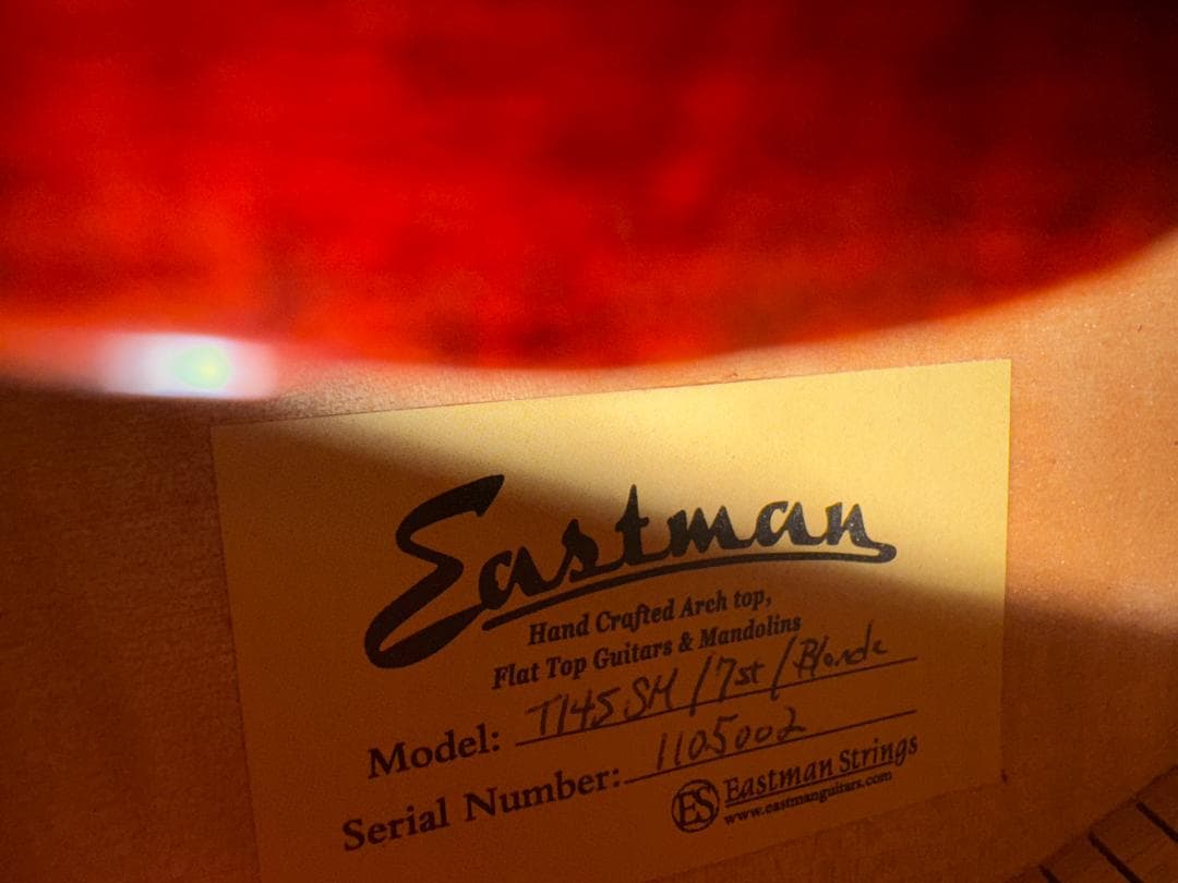 Eastman T-145SM 17st 7弦フルアコ スペシャルオーダー - メルカリ