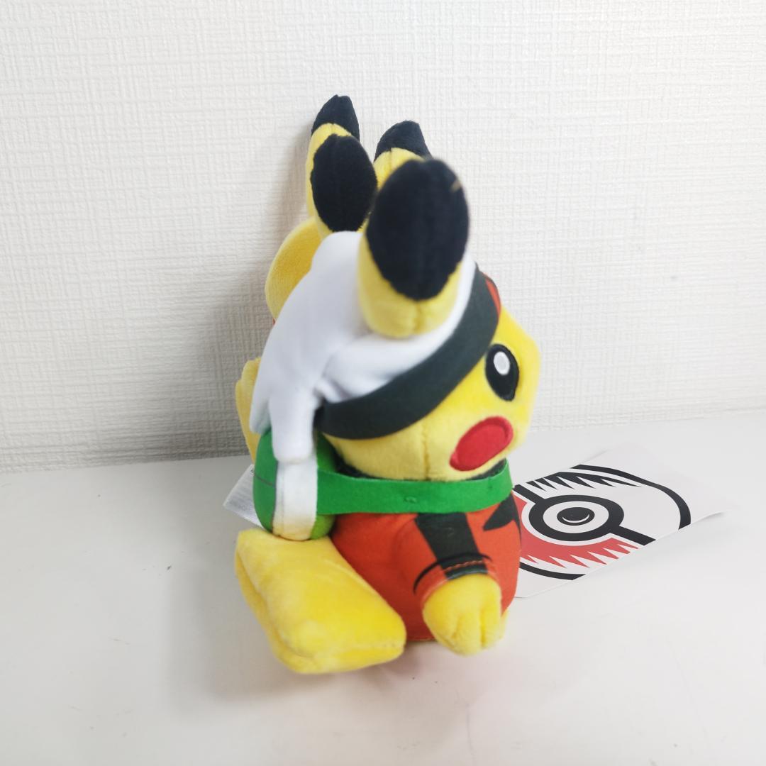 ピカチュウ 25周年 ホウエン地方 ぬいぐるみ アメリカ限定 ニューヨ