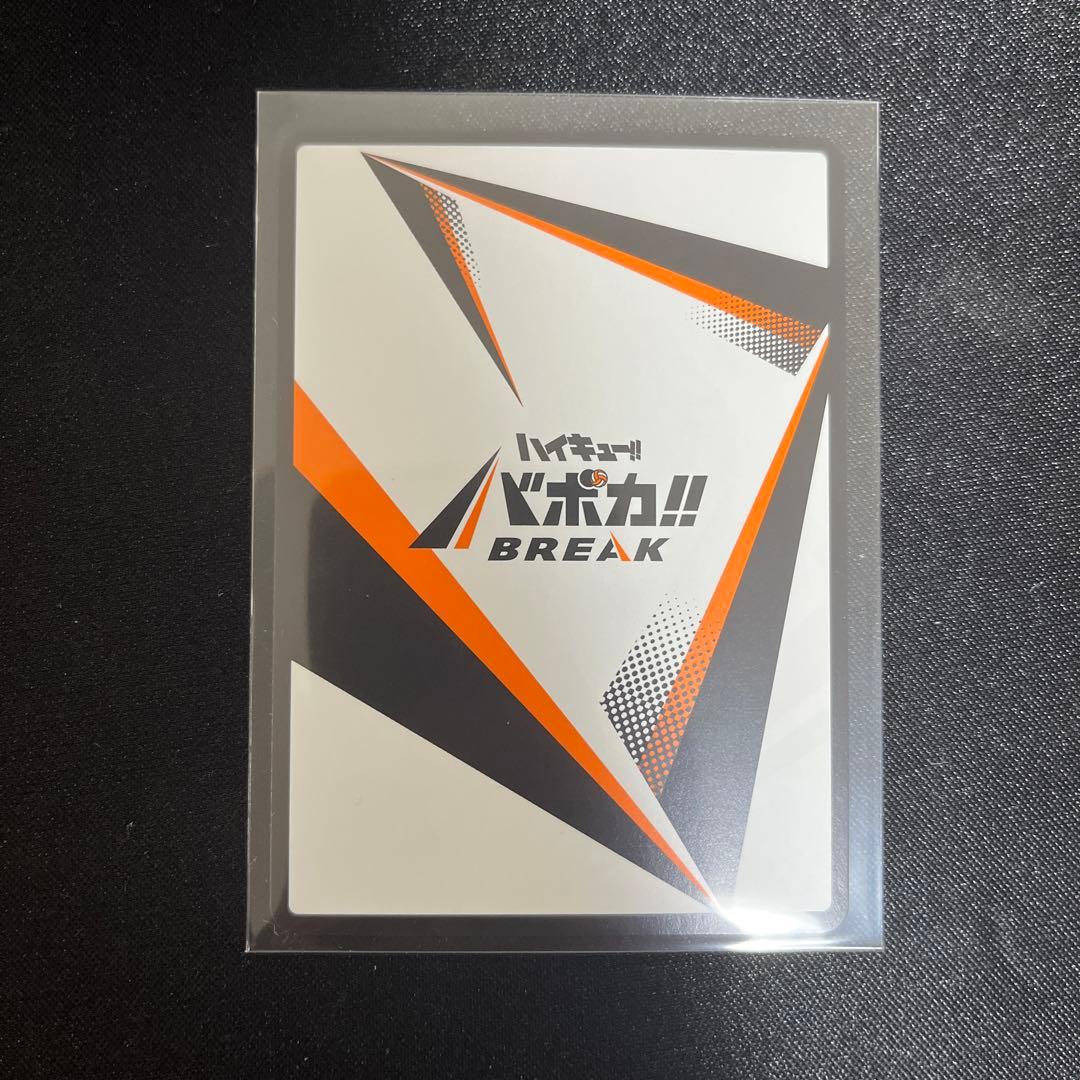 特殊ナンバー‼️ハイキュー!! バボカ!! BREAK 日向翔陽 サイン極P