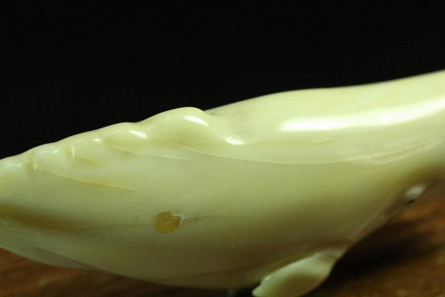 抹香鯨 歯 細密 彫刻 鯨 置物 根付 台付(K-A995)