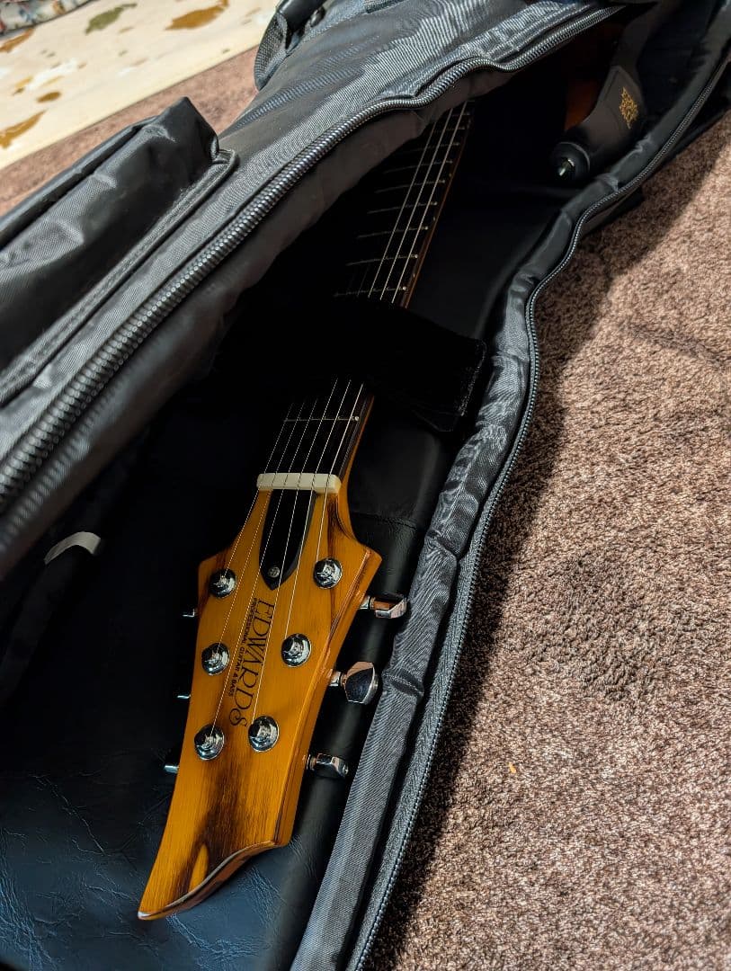 美品 動作確認済み EDWARDS E-RD-140NT - メルカリ