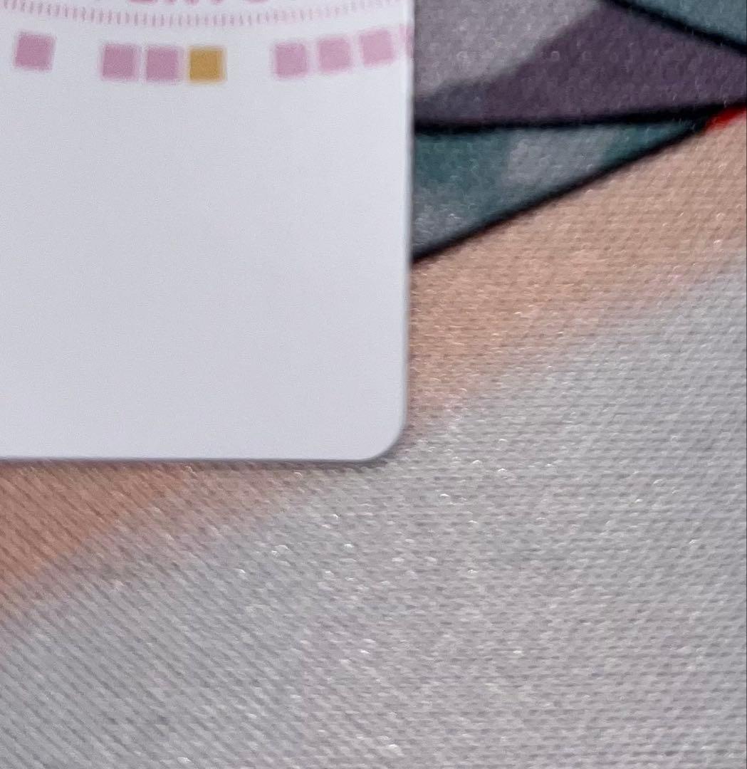 二つの翼　朱雀院椿　ssp おまけ付き