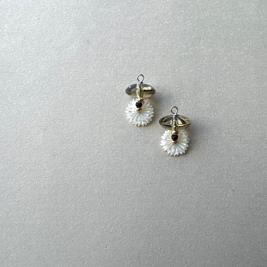 no.164 レモンスモーキーと秋紫苑