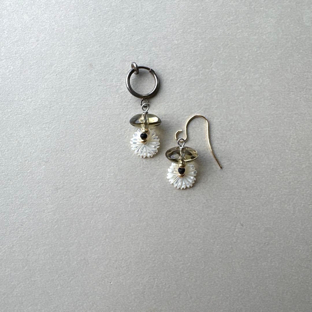 no.164 レモンスモーキーと秋紫苑