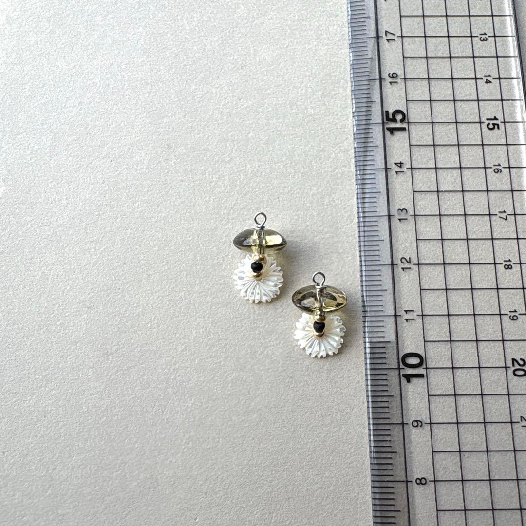 no.164 レモンスモーキーと秋紫苑