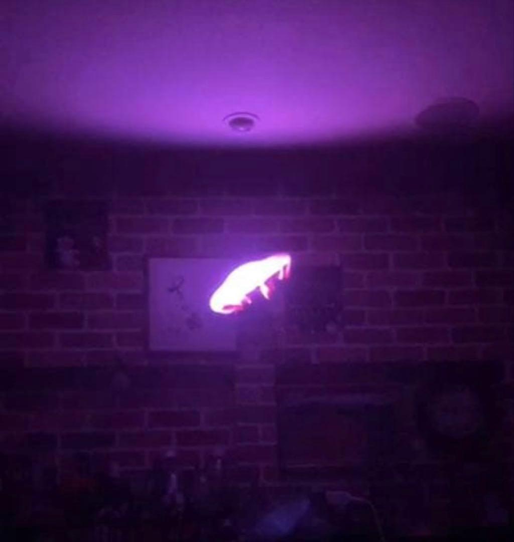 ３D ホログラム　ディスプレイ