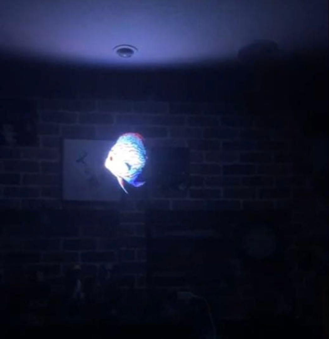 ３D ホログラム　ディスプレイ