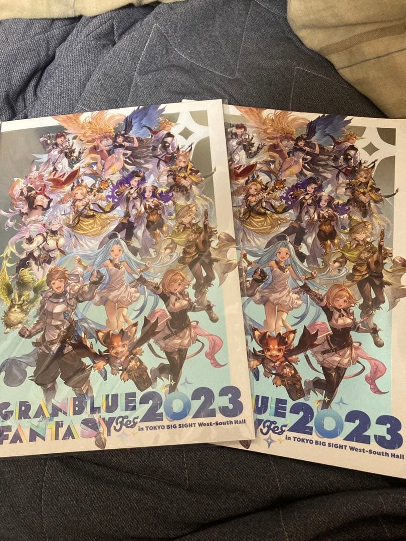 グラブルフェスパンフ 十天衆限界超越お助けセット グランブルー