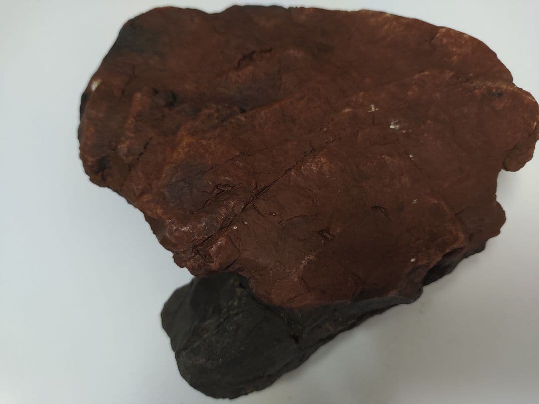 コレクター必見！！！正体不明  肉のような水石