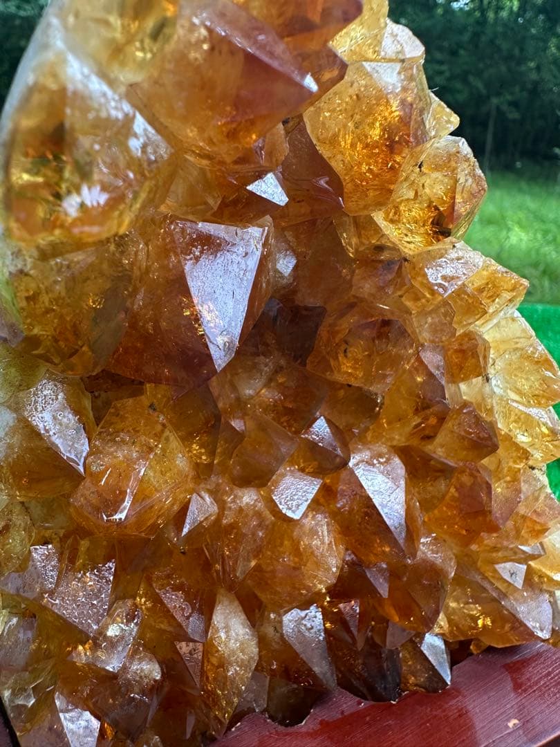 特価　シトリンクラスター　12