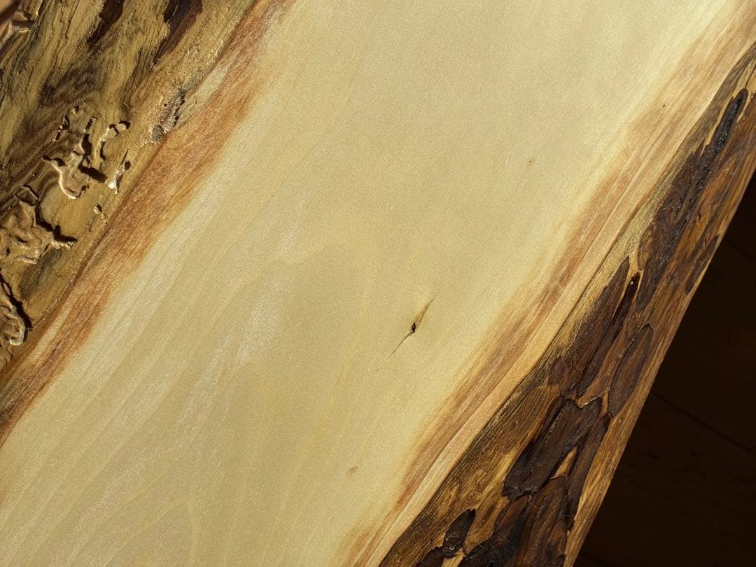 国産桂かつら【和モダンな佇まい】無垢天然一枚板サイドテーブル