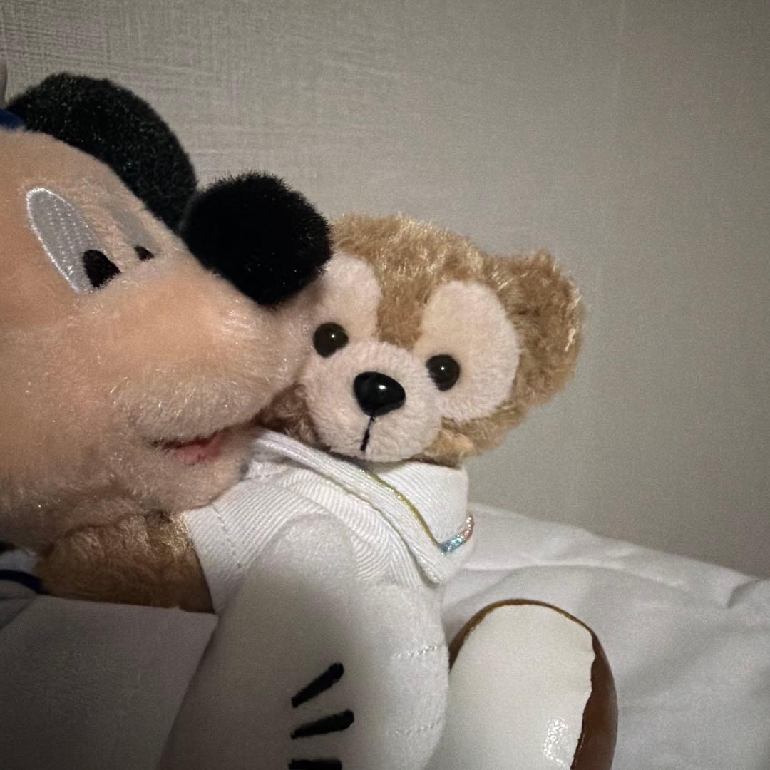 ぬいぐるみバッジ ミッキー ダッフィー ハートフェルトレターズオブ