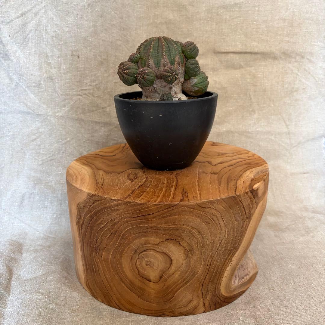 円柱 ロースツール ローテーブル