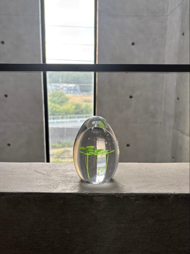 【イイノナホ】CLOVER FAMILY クローバー ファミリー