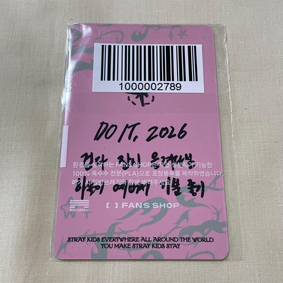 即購入可】Stray Kids DO IT FANS ラキドロ ヒョンジン - メルカリ