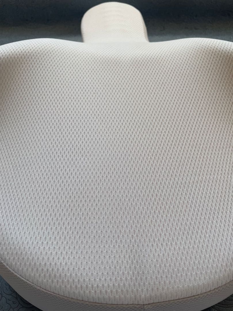 【☆姿勢改善にオススメ☆】GODCHOO PILLOW ゴッチョ背まくら