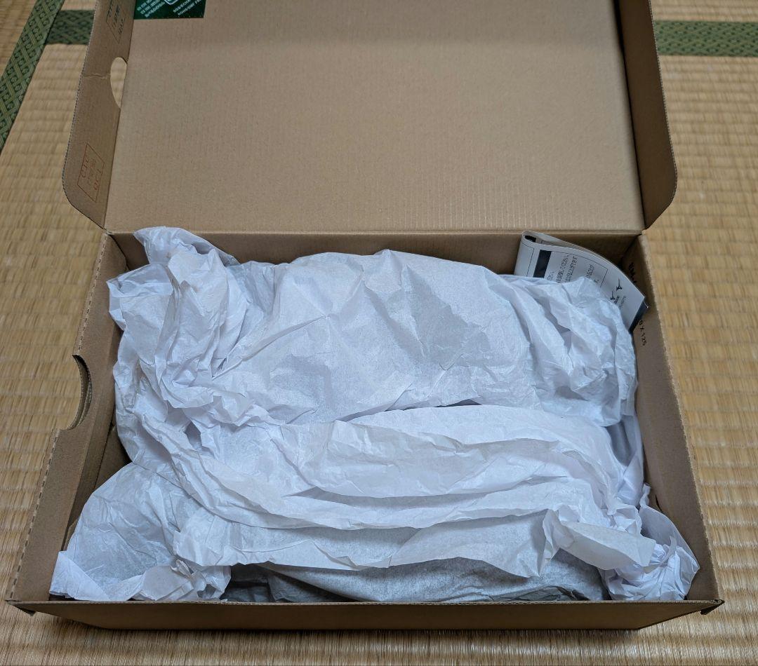 ミズノ　安全靴　25.0EEE