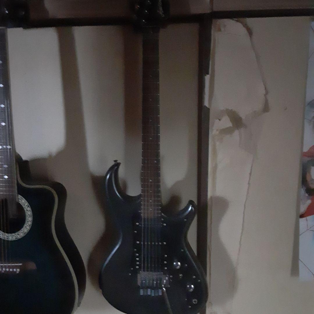 アリアプロ2 ワイルドキャット