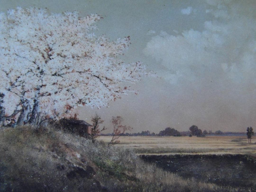 高橋由一、【墨堤桜花】、希少画集画より、状態良好、新品高級額装付