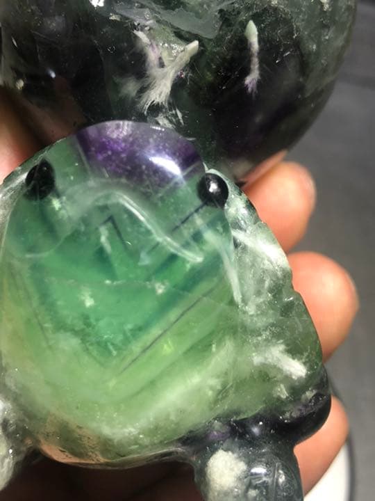 フローライト 笑口 亀