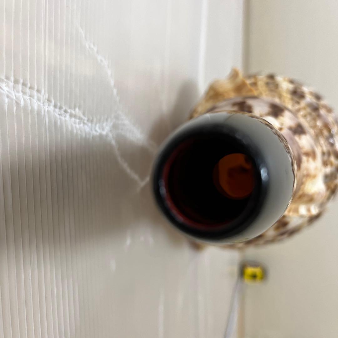 修験道法螺貝　神事　山伏　密教　魔除け　ほら貝　ホラガイ