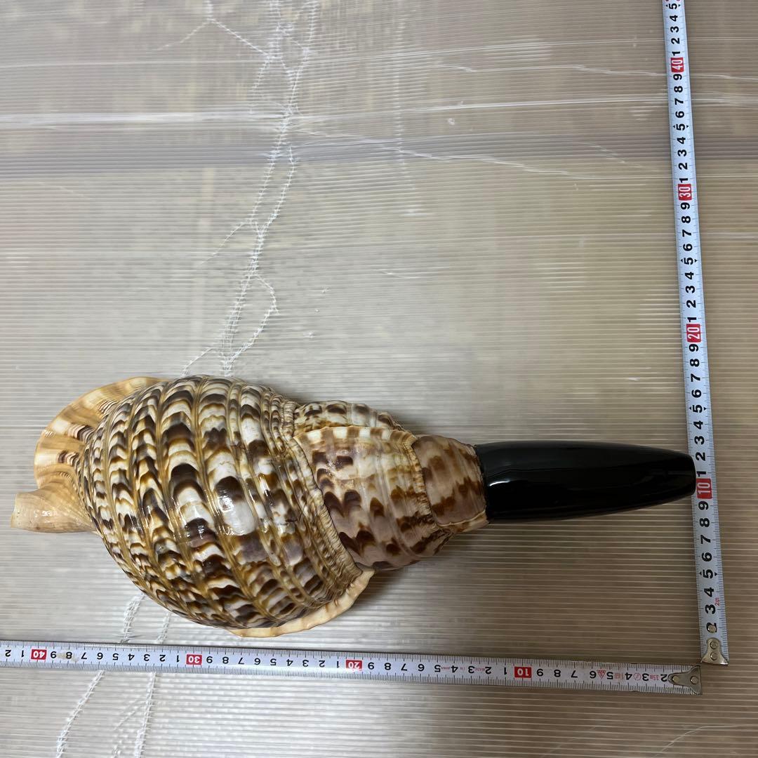 修験道法螺貝　神事　山伏　密教　魔除け　ほら貝　ホラガイ