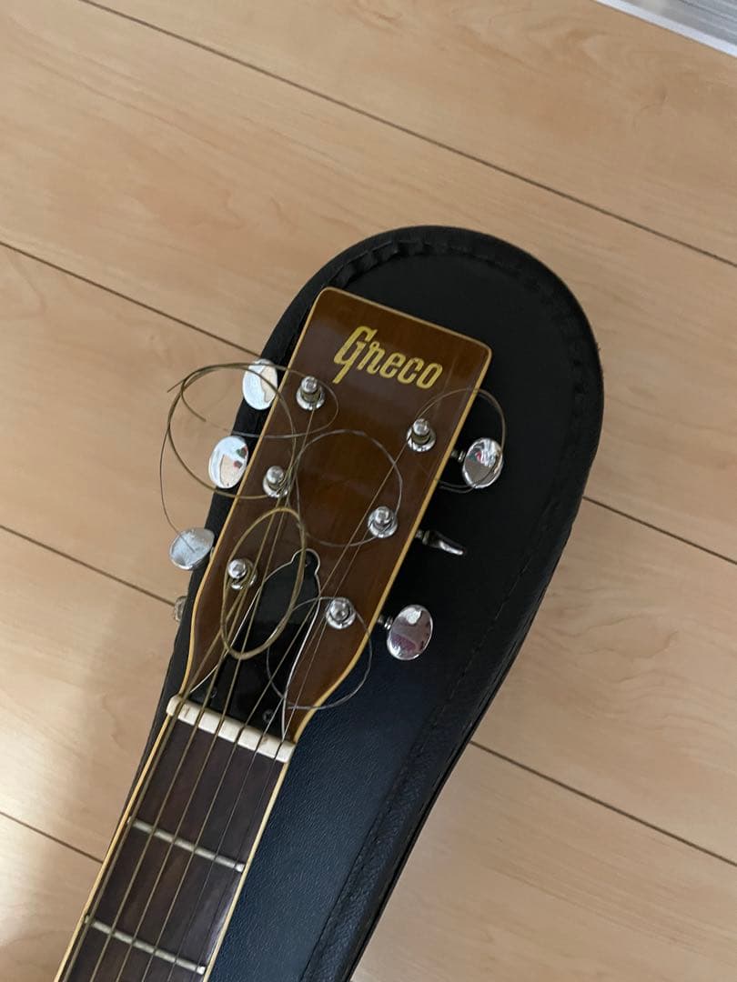 grecoグレコ F-180 / L.R.Baggs m1