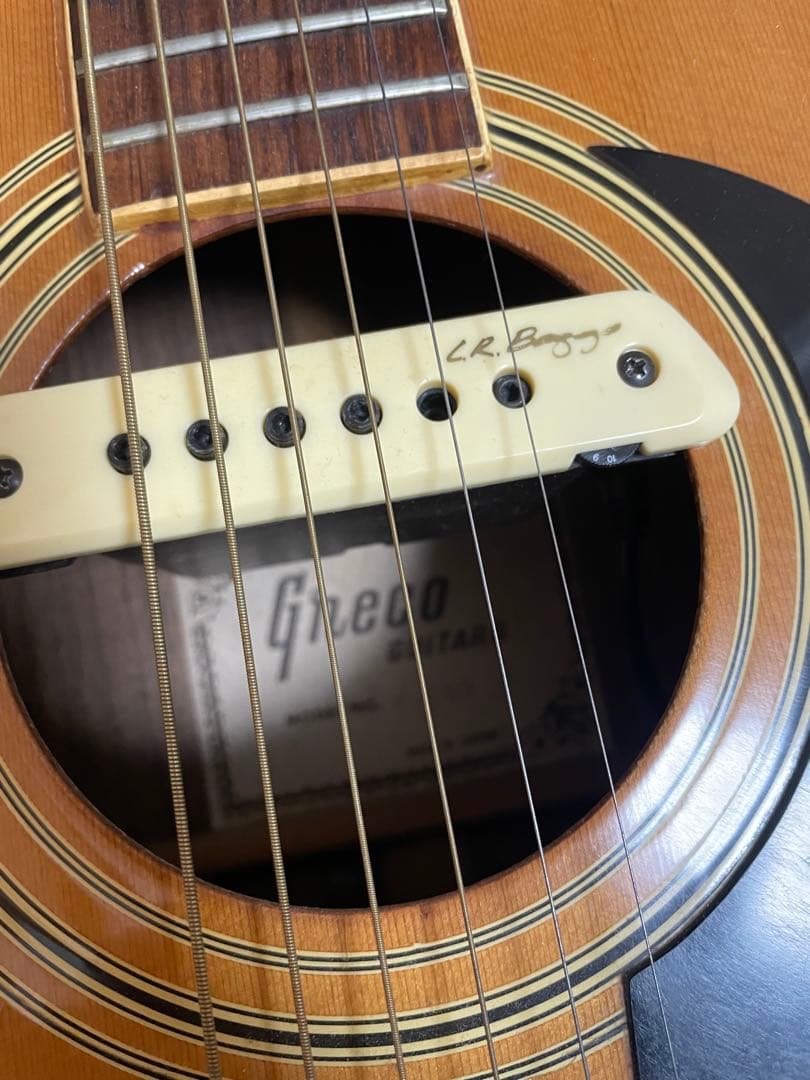 grecoグレコ F-180 / L.R.Baggs m1