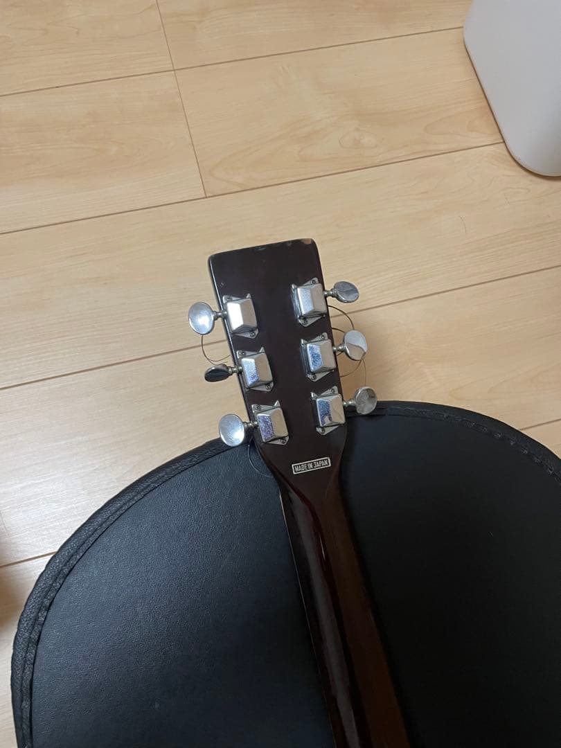 grecoグレコ F-180 / L.R.Baggs m1