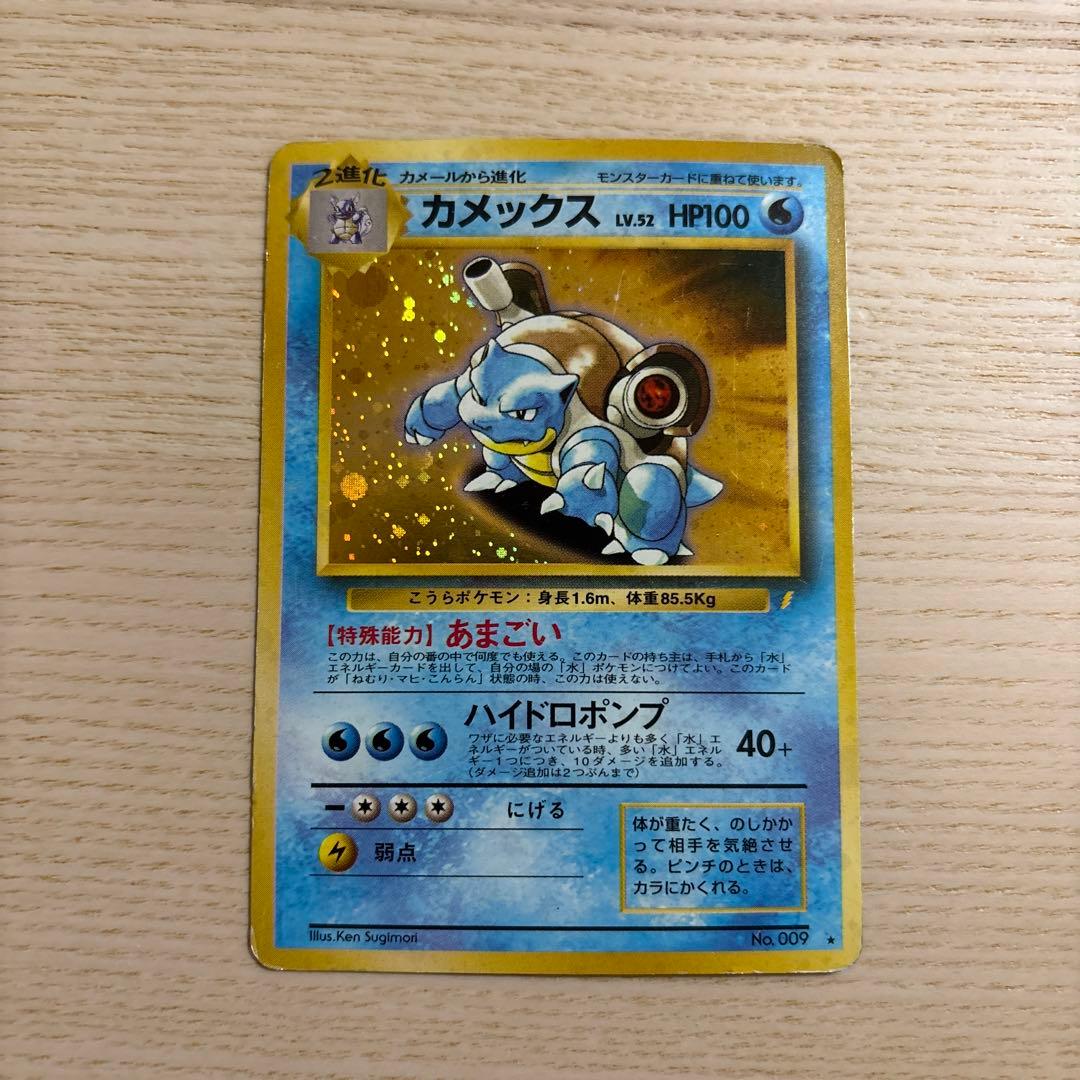 【NANAさん専用】カメックス_「とりかえっこプリーズ」