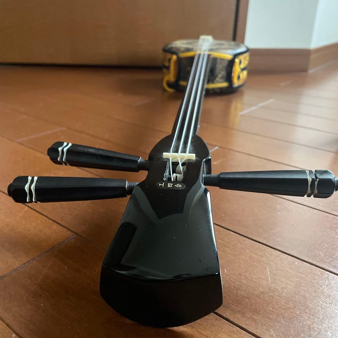 【美品】三線 蛇本革 ケース付き