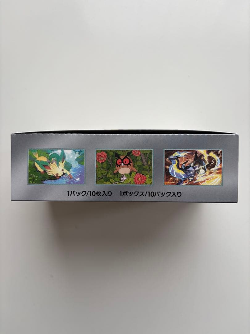 テラスタルフェス BOX シュリンクなし　ペリペリあり