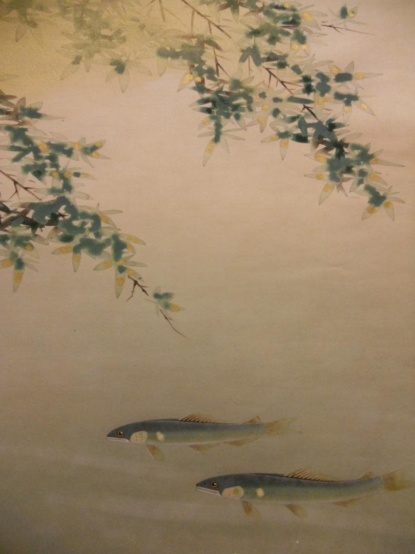 掛け軸 坂本楽山人 作 『 青楓に鮎 』 絹本 希少 軸装 茶道具 掛軸 美品