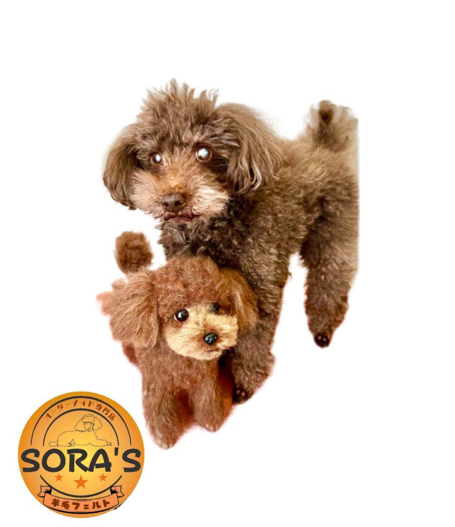 愛犬さんの羊毛フェルトオーダー専門・わんちゃん