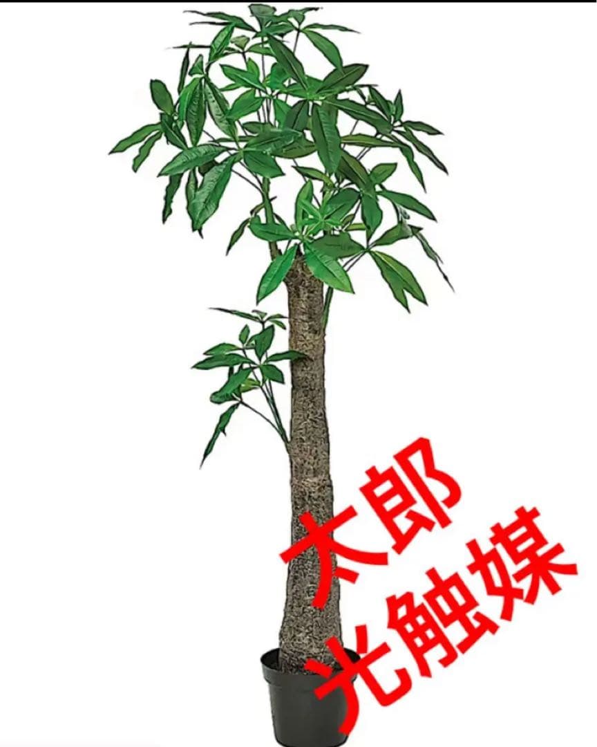 光触媒　人工観葉植物　ウォールグリーン　フェイクグリーン　太パキラ150