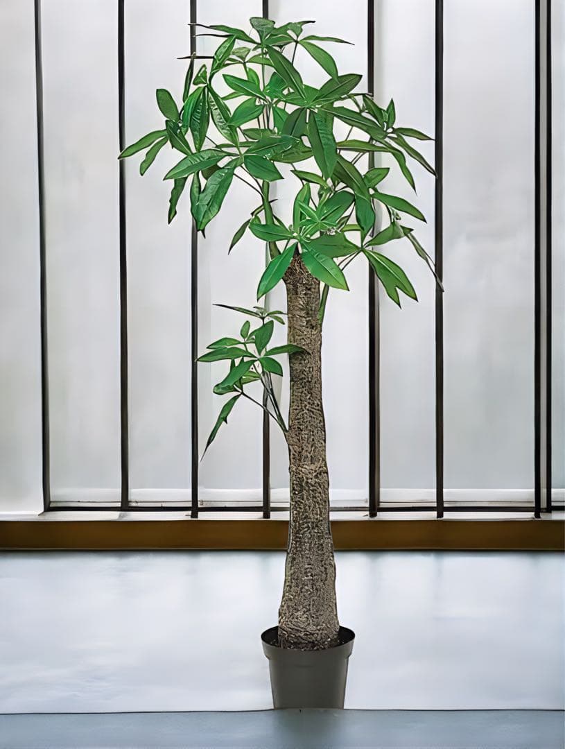 光触媒　人工観葉植物　ウォールグリーン　フェイクグリーン　太パキラ150